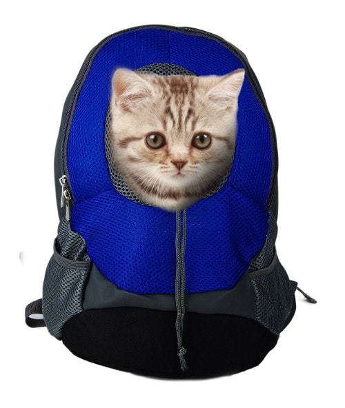 A Cup of Tea Pet Carrier Backpack