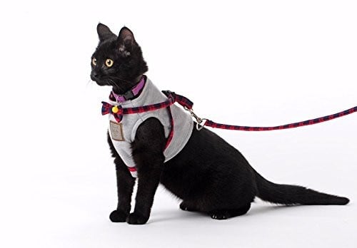 Bestag Cat Harness