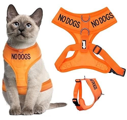 Dexil Color Coded Cat Harness
