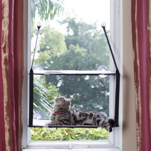 L.S. 2018 Cat Window Perch