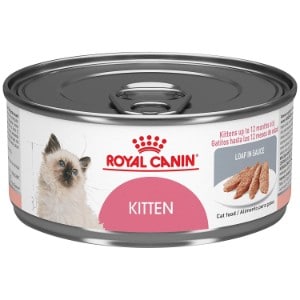 Royal Canin Feline Health Nutrition Kitten Instinctive Loaf in Sauce