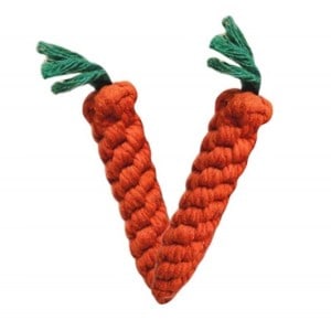 carrot rope toy