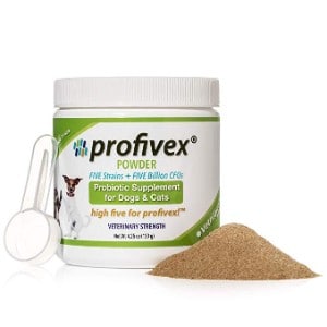 Profivex Probiotics for Dogs and Cats