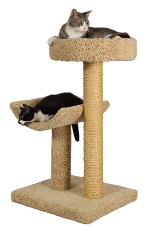 Simple Sleeper Cat Scratch Post and Bed﻿