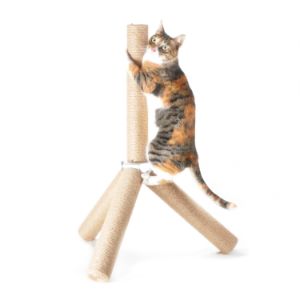 4 Claws Scratching Post
