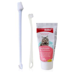Aolvo Cat Toothbrush and Paste