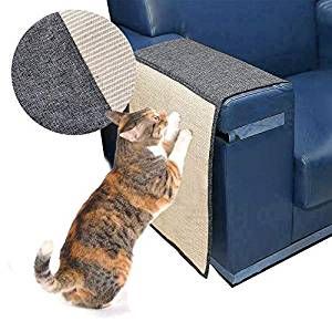 The 25 Best Cat Scratching Posts - Cat Life Daily