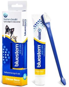Bluestem Chicken Flavor Toothpaste with Toothbrush for Dogs & Cats