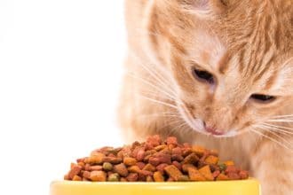 The Best Hypoallergenic Cat Foods