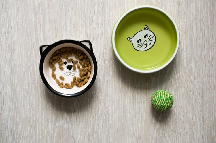 The Best Cat Bowls