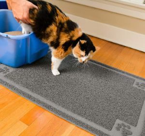 CleanHouse Pets Cat Litter Mat