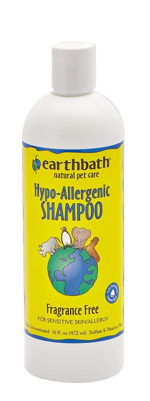 Earthbath Hypo-Allergenic Totally Natural Pet Shampoo