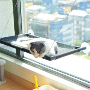 Pakeway Cat Window Perch Hammock