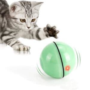 WWVVPET Interactive Cat Ball with LED Light
