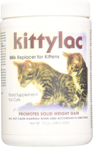 Kenic Kittylac Milk Replacer for Kittens