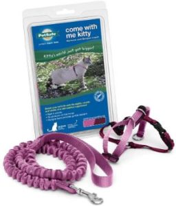 PetSafe come with me bungee leash