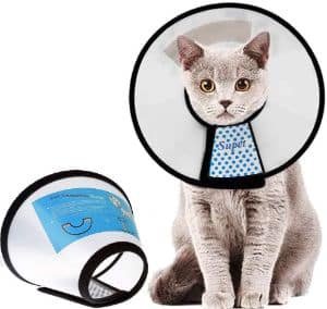 Supet Adjustable Cat Cone