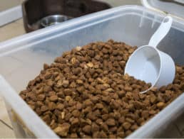 The Best Cat Food Storage Containers