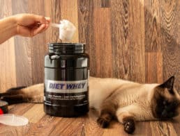 The Best Cat Weight Gain Supplements