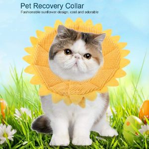 Pssopp Pet Recovery E-Collar
