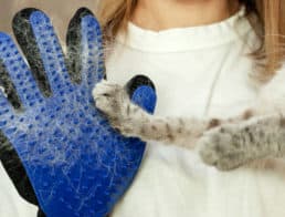 The Best Cat Grooming and Deshedding Gloves
