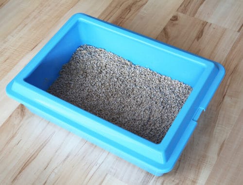 The Best Disposable Litter Boxes