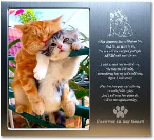 JOEZITON Pet Memorial Gift Personalized Picture Frame