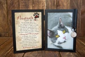 Pawprints Pet Memorial Frame for Cats