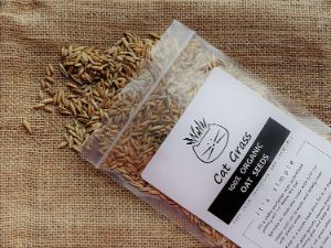 Perfected-Brand Simple Cat Oat Grass-min