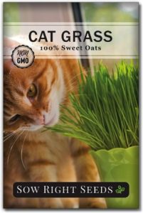 Sow Right Seeds Oat Grass