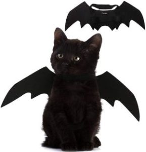 Puoyis Cat Bat Wings