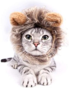 GALOPAR Cat Costume