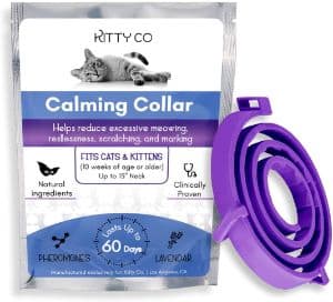 Kitty Co Calming Collar