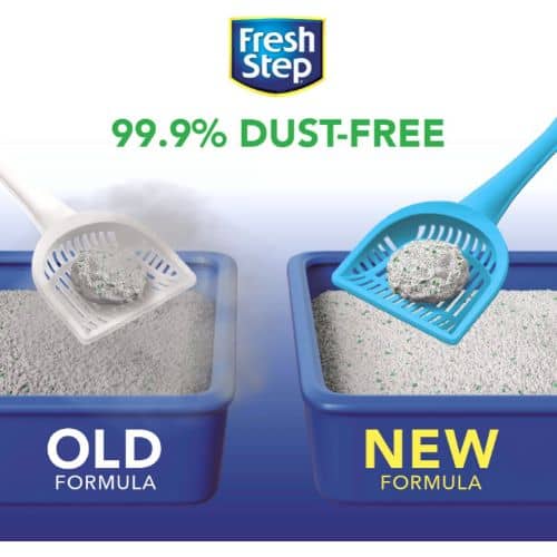 Fresh Step Febreze Cat Litter Review Dr Coates DVM Cat Life Daily