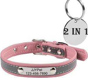 JJYPET Personalized Engraved Pet Collar